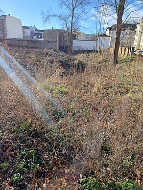 Mühlgraben-Areal Februar 2024